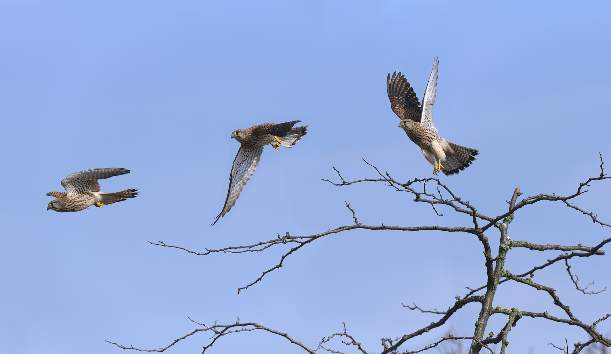 Abflugsequenz